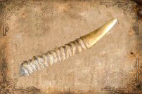 Heilerbesteck Horngriff